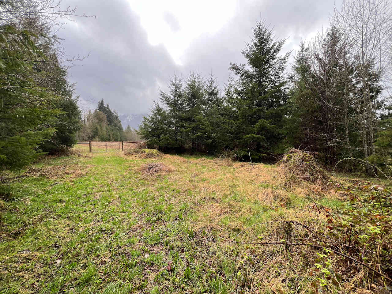 Ruby's Run Farm & Forest