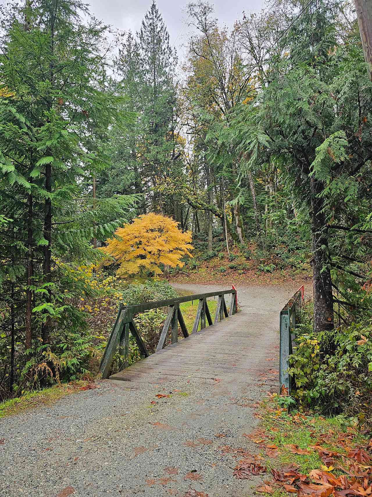 Bridge over Hairsine Creek and entryway to Hayward Trails Camping