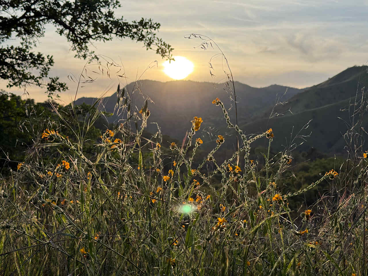Views from the hill above the campsite