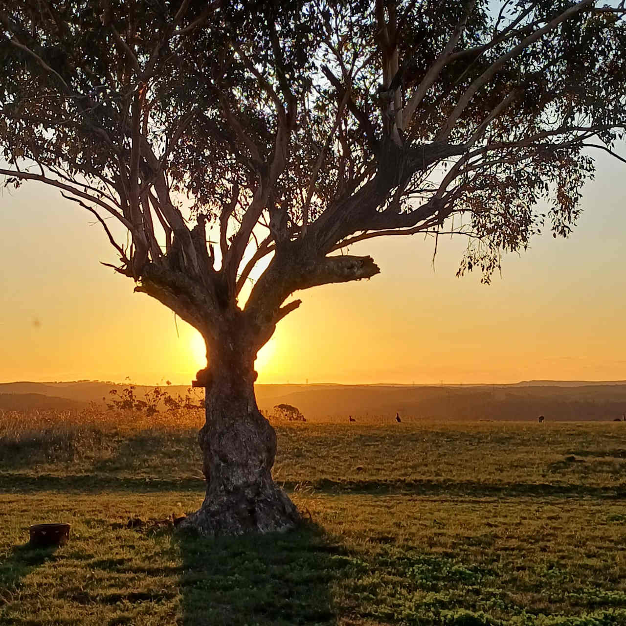 Sunsets are magic 