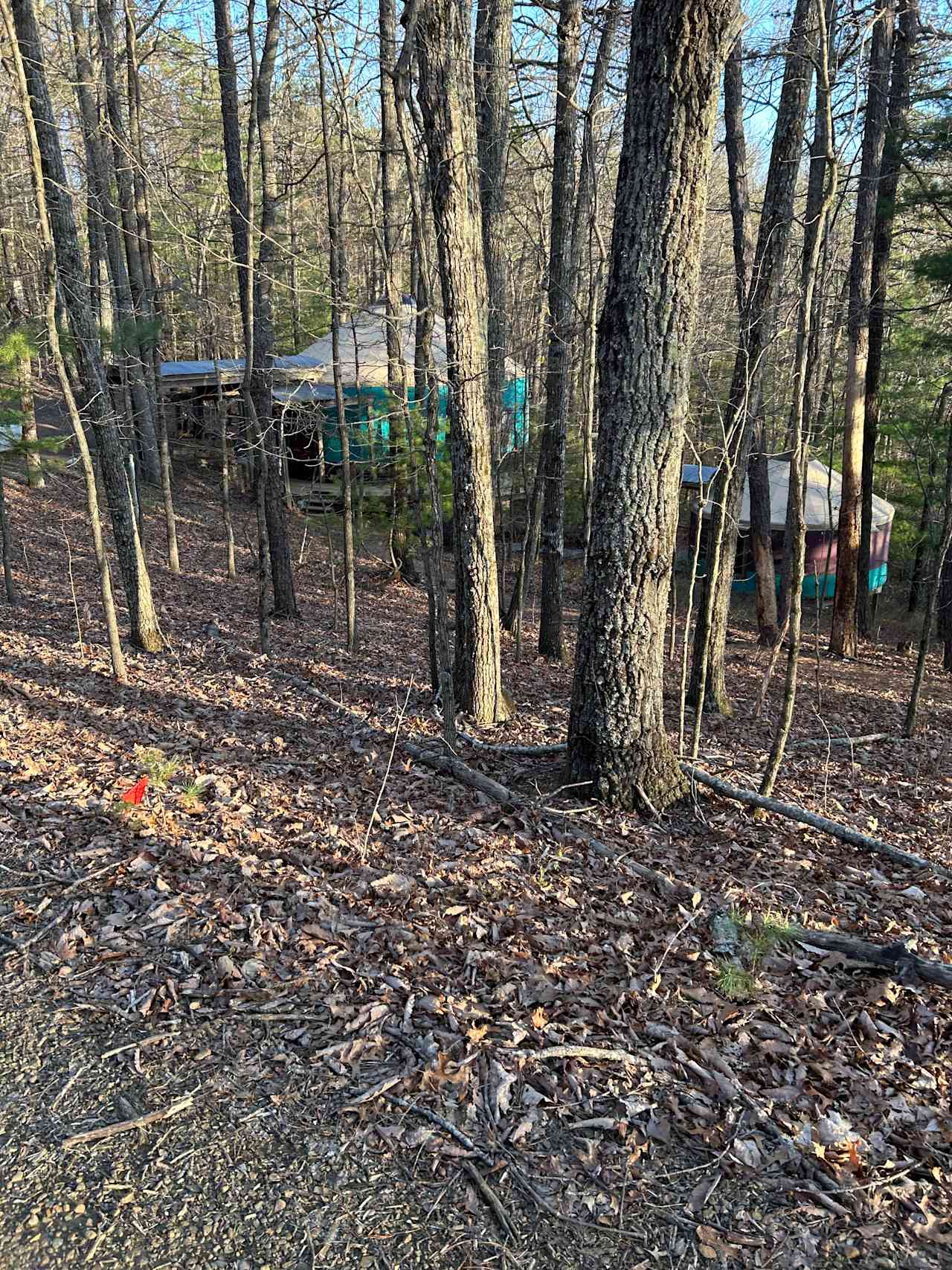 Why be Square?! Blue Ridge Yurt