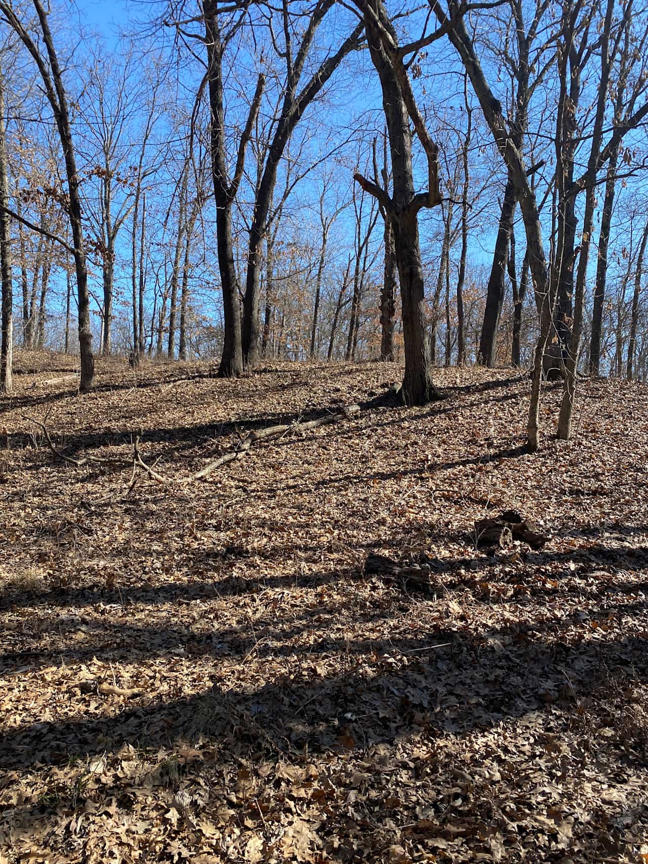 Post Oak Creek Campground
