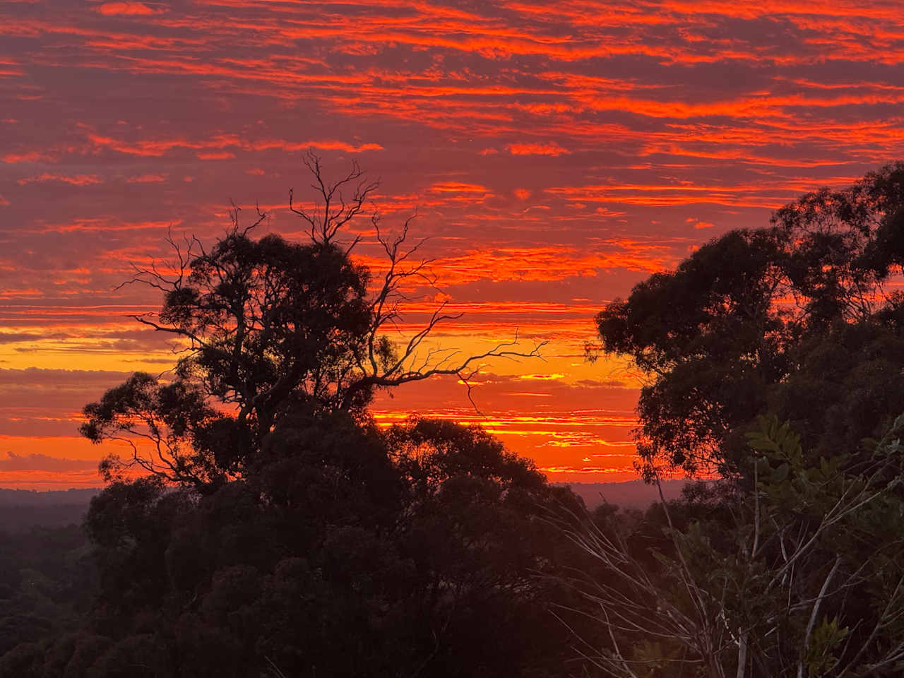 Yarrabah High Country- Jarrahdale