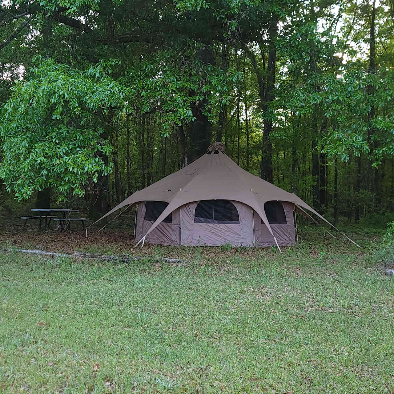 The Pecan Orchard CampGrounds
