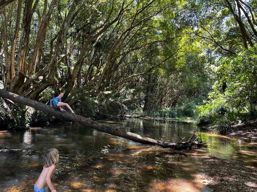 Kalang Farm Wildlife Sanctuary