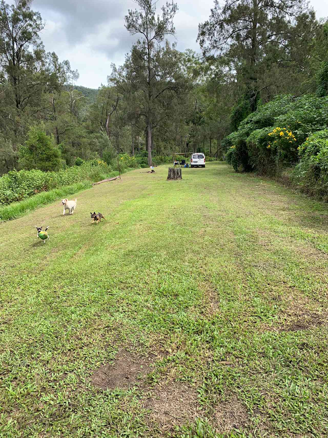 Bellbird Lodge