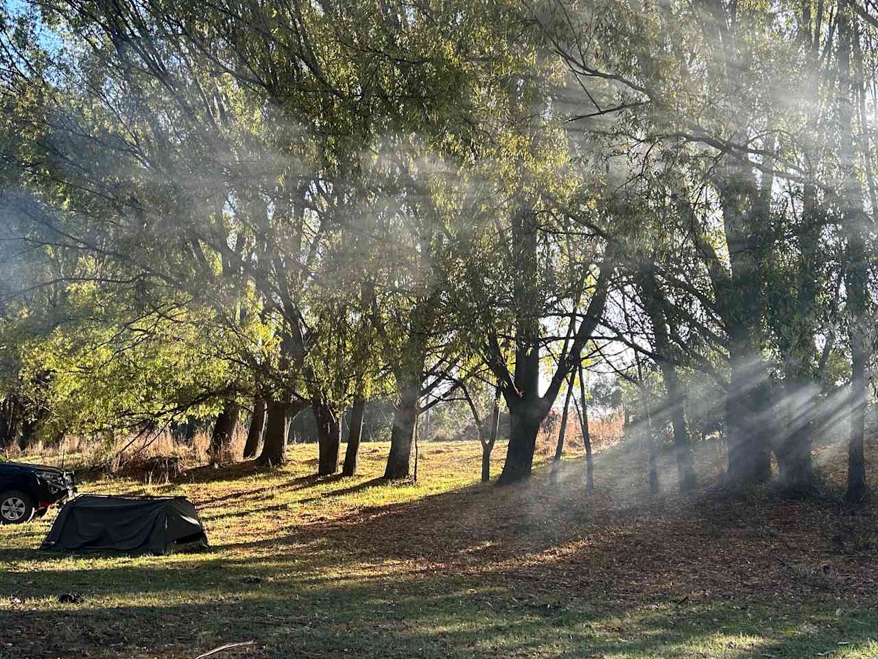 Dairy Countryside Camp