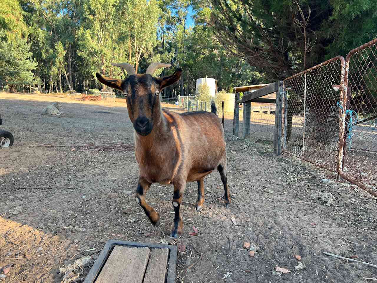 Murray Farm Stay in Dwellingup