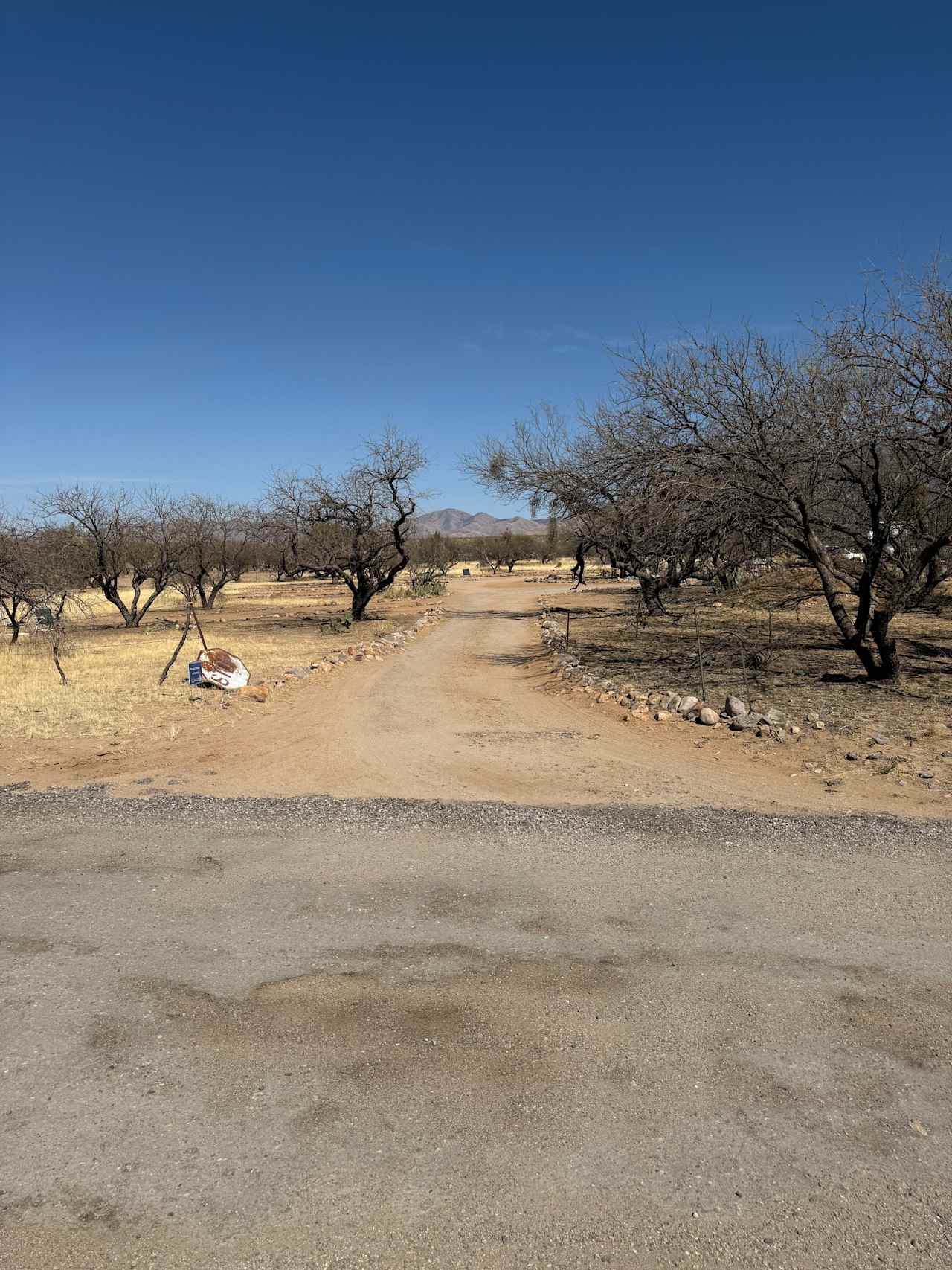 Dave's Place in the Desert