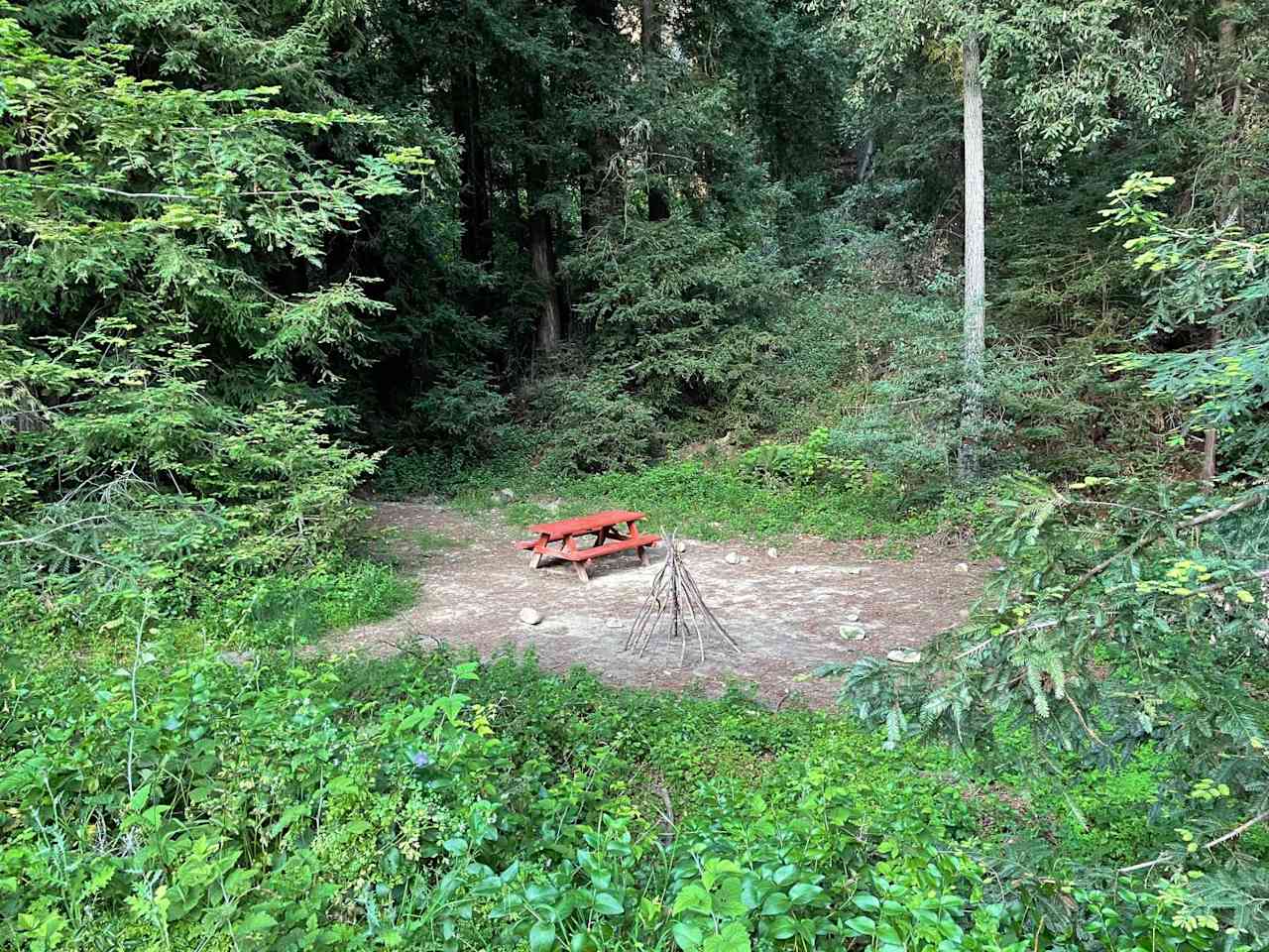 Amaya Creek Redwood Campground