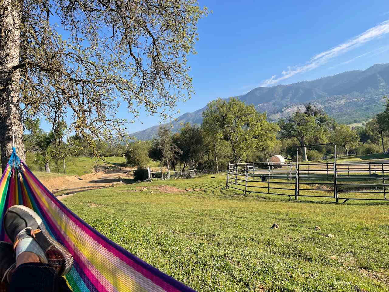 View from the hammock 