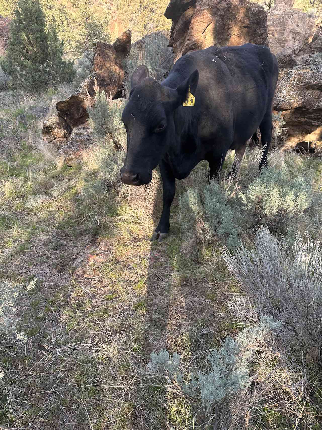 Big Rock Ranch