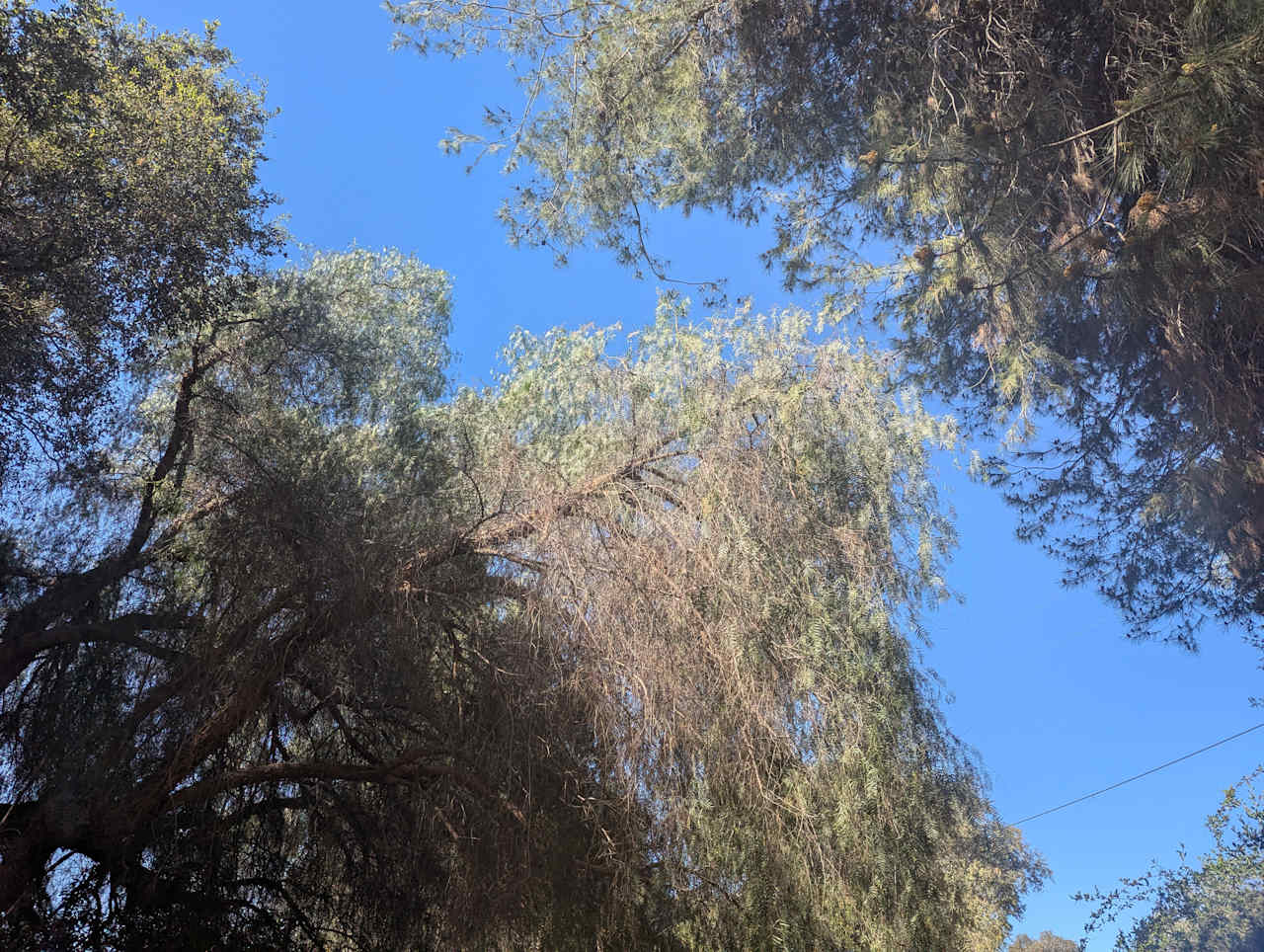 Wild Seeds Ranch