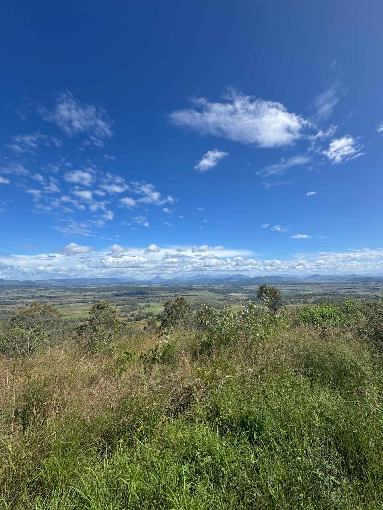 Larapinta