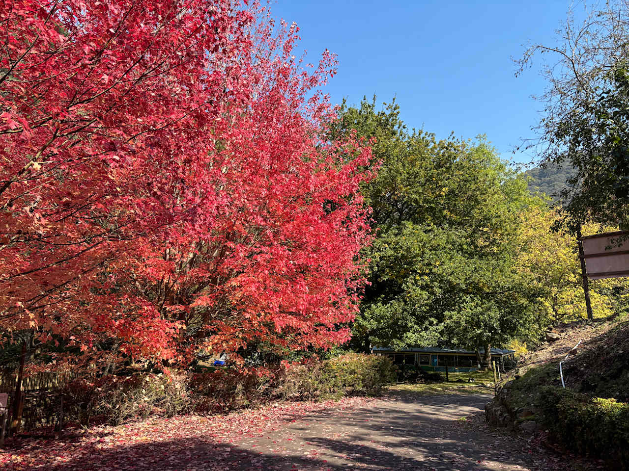 Hazelnut Valley Farm Stay