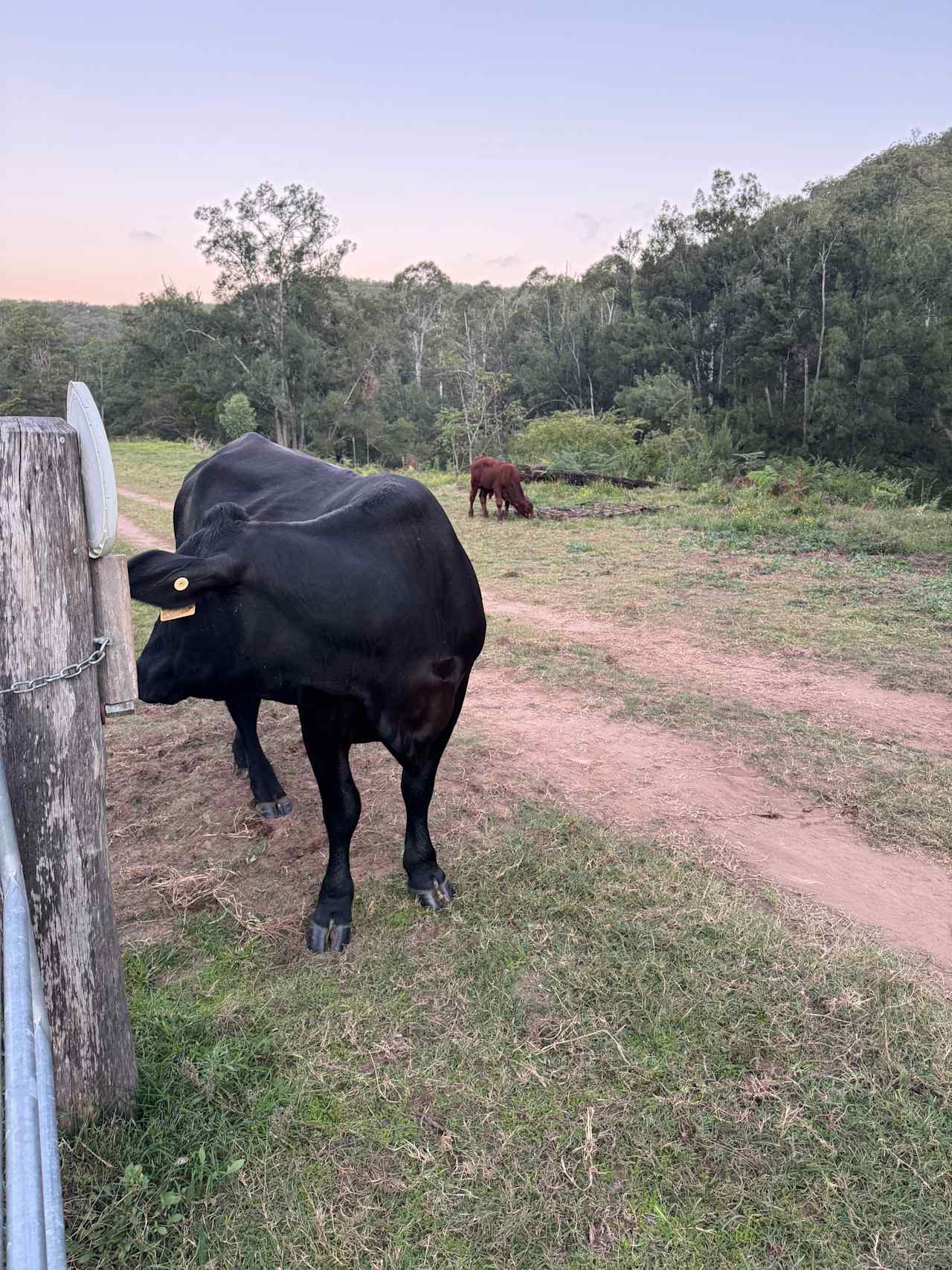 Cranky Rock Hunter Valley