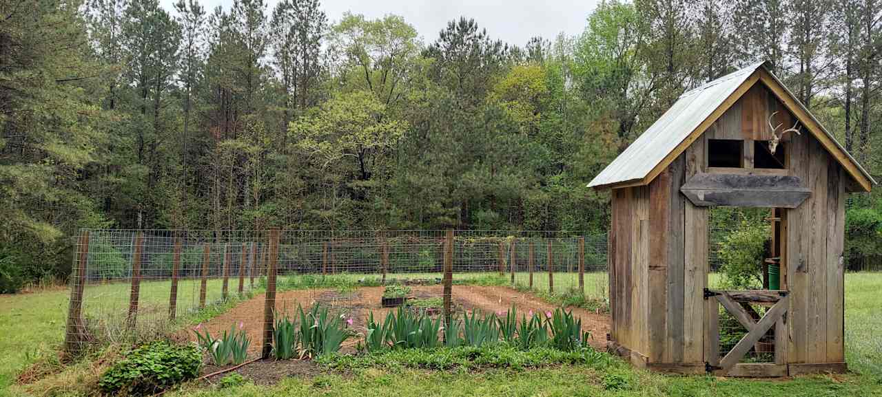Beautiful garden