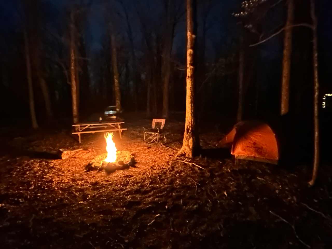 Secluded Camp near Buffalo River