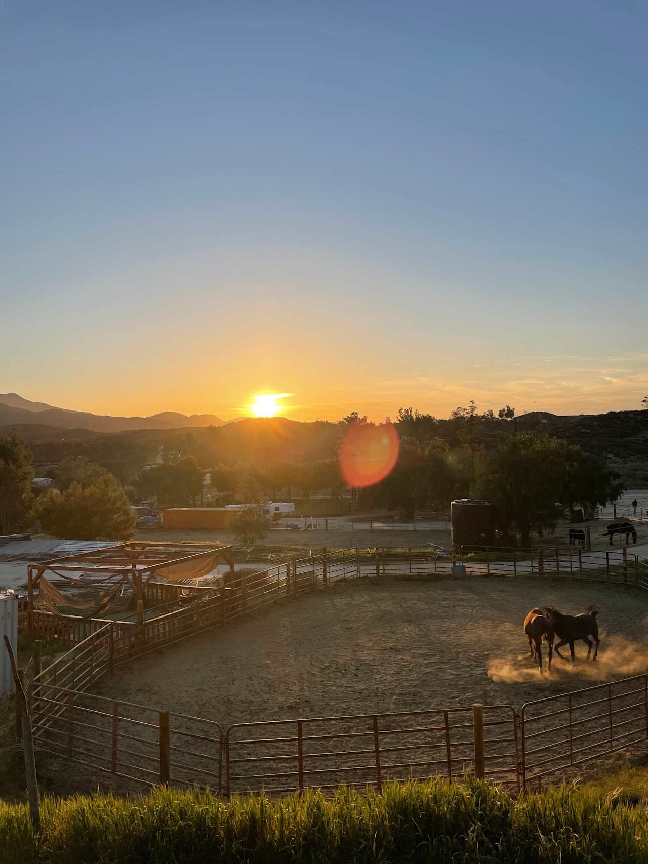 Saddle Up Camp
