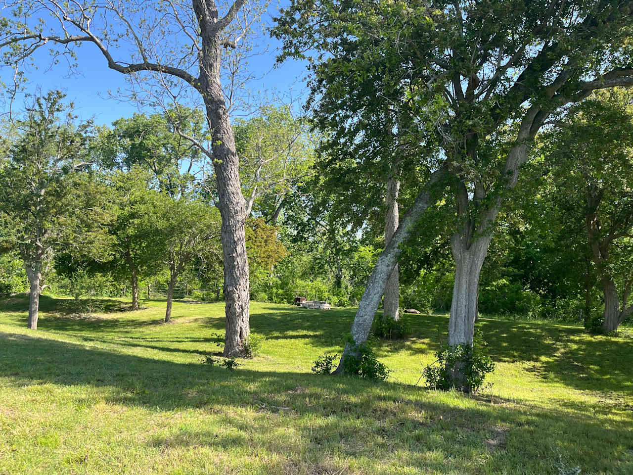 Many options for where to set up camp