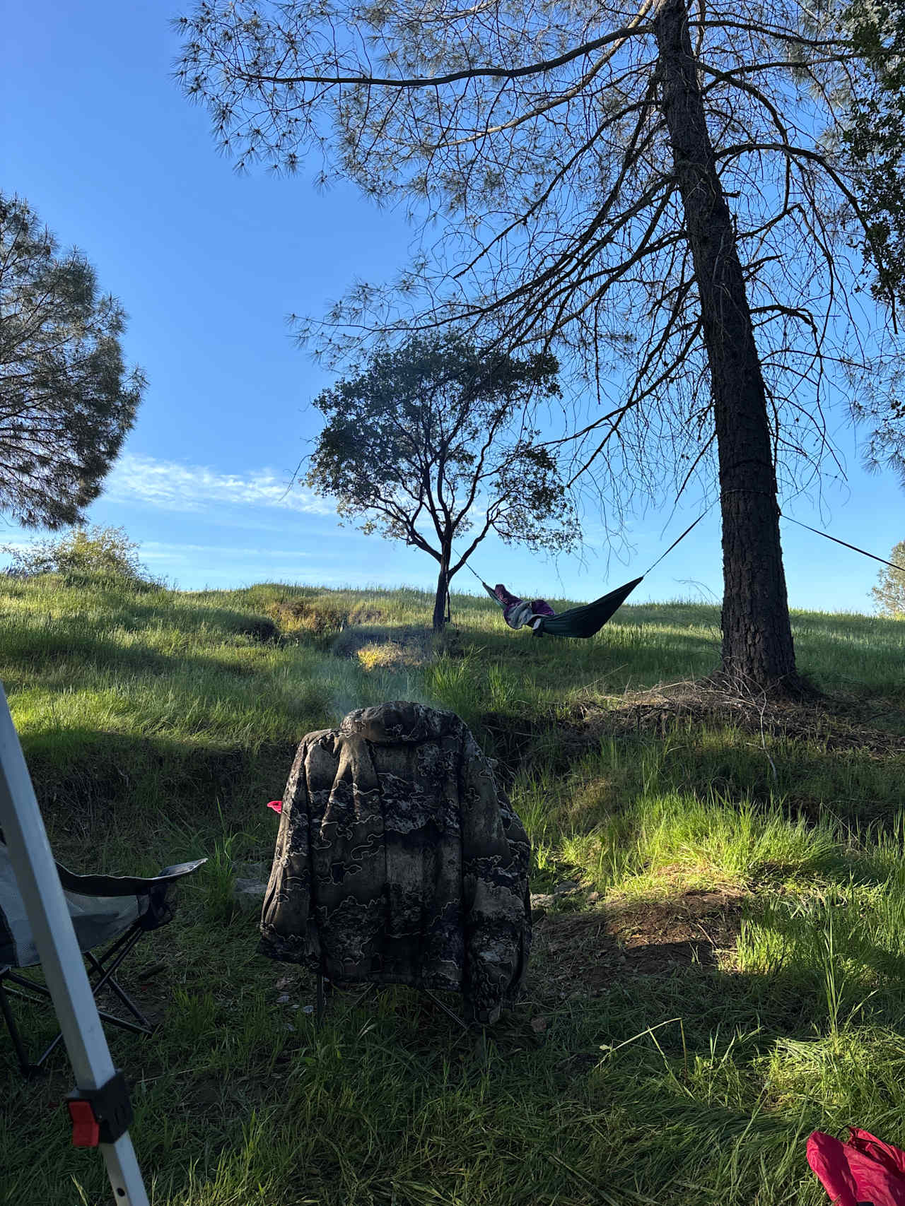 Site #5 