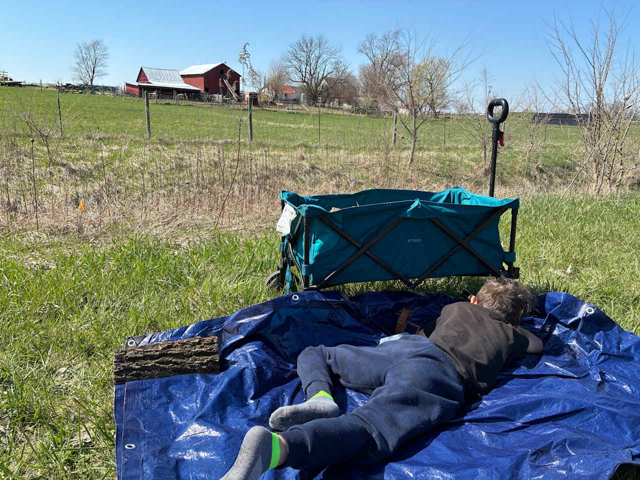 My son spying donkey with a scope