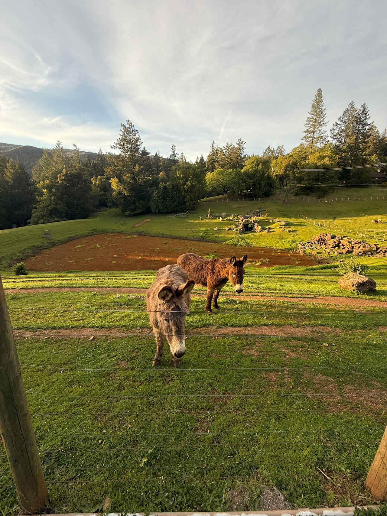 Wild Canyon Ranch CA