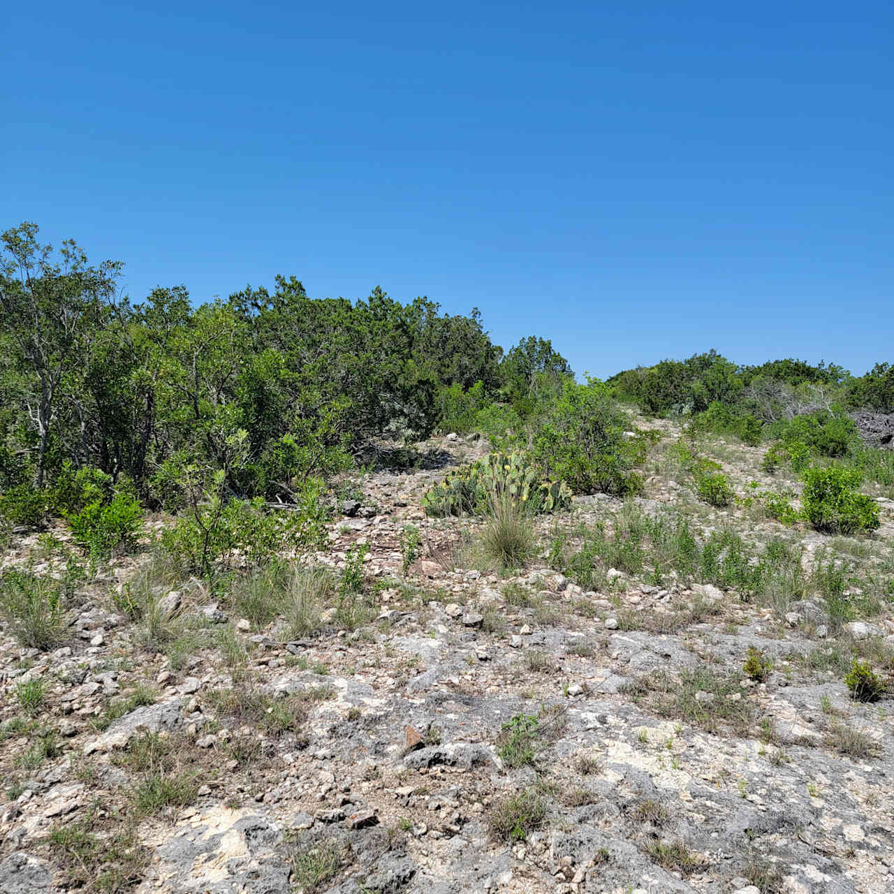 Hiker's Paradies | 6,000 Acre Ranch