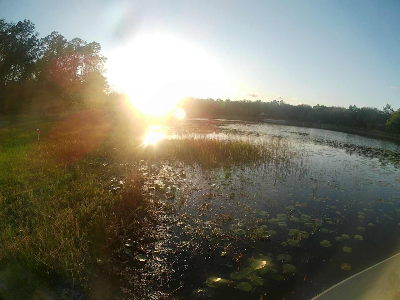 Lakefront Sweet Spot, N Central FL