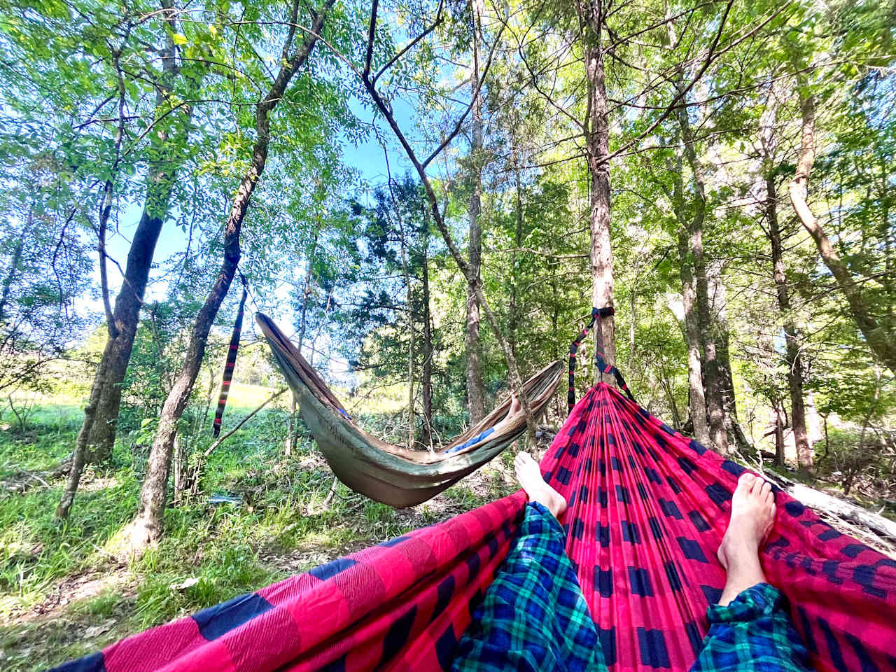 Look along the old ditch on the back 40 acres. You will find a few good hammock spots. 