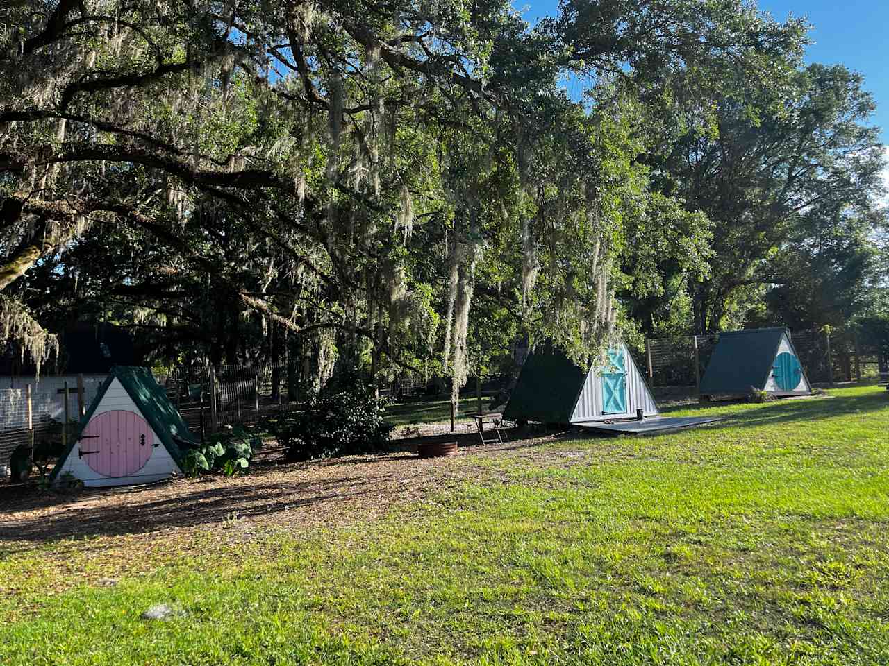 Enchanted Oaks Camp & Farm