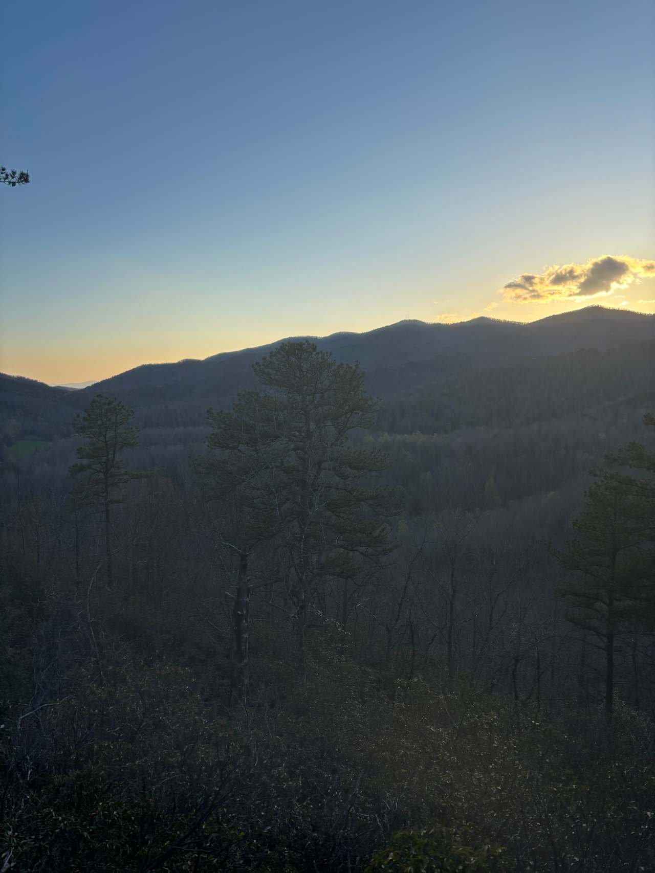 Above the Fray Glamping, Black Mtn.