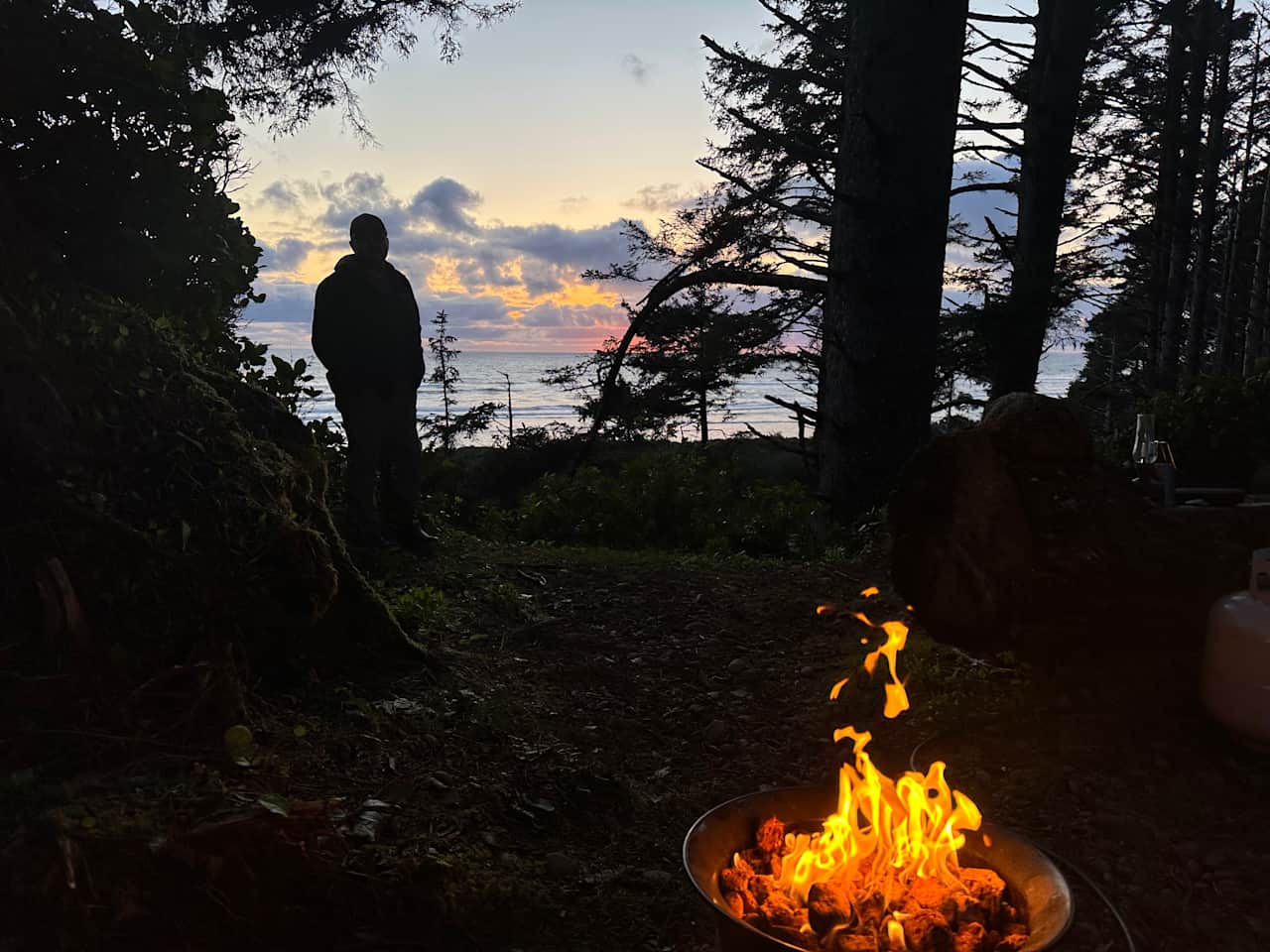Wild WA Coast Lookout ($75 - $125)