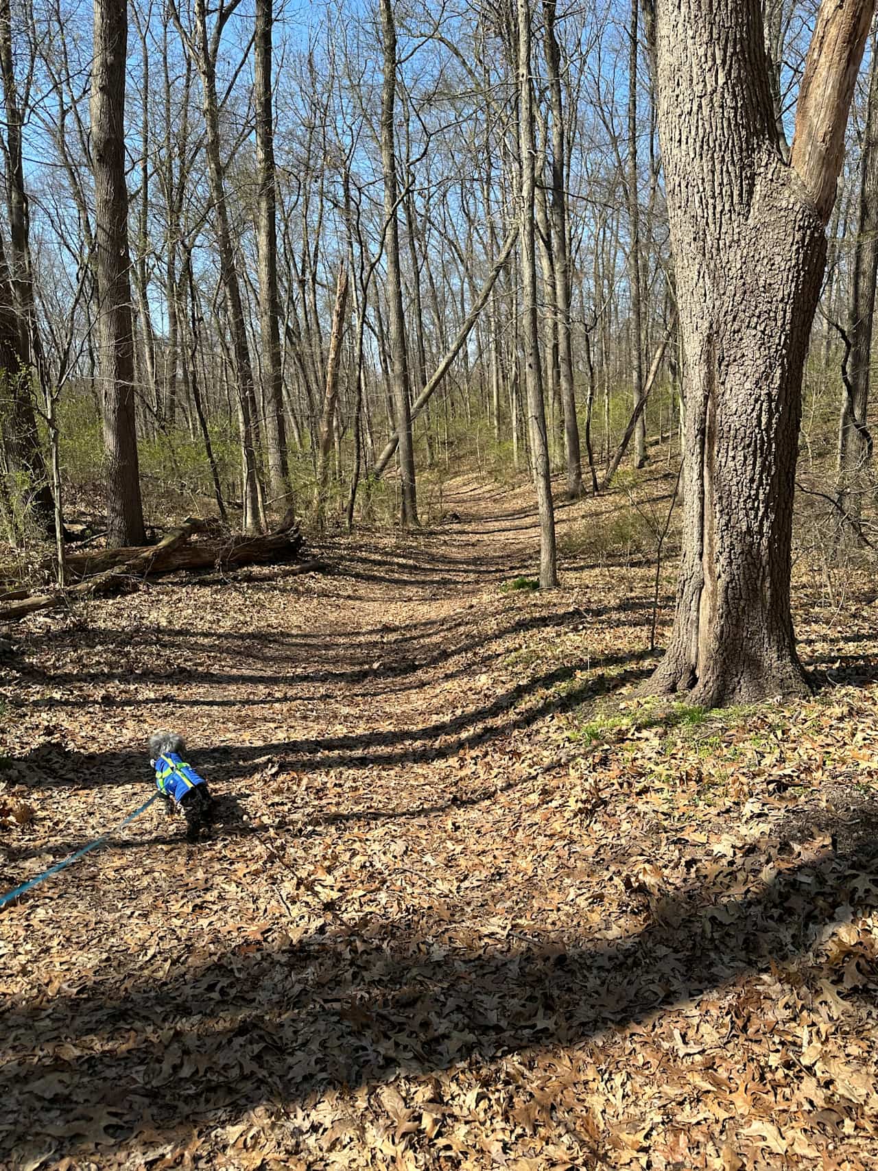 Walnut Valley Realm Campground