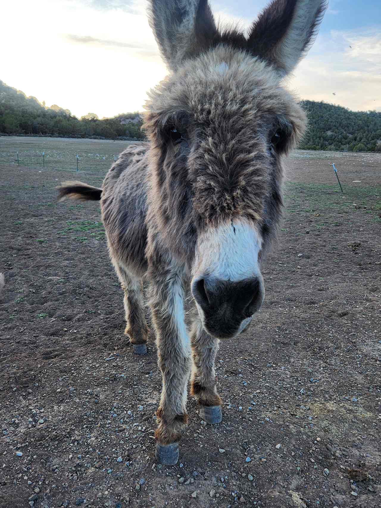 Linda M.’s Santa Rita Ranch