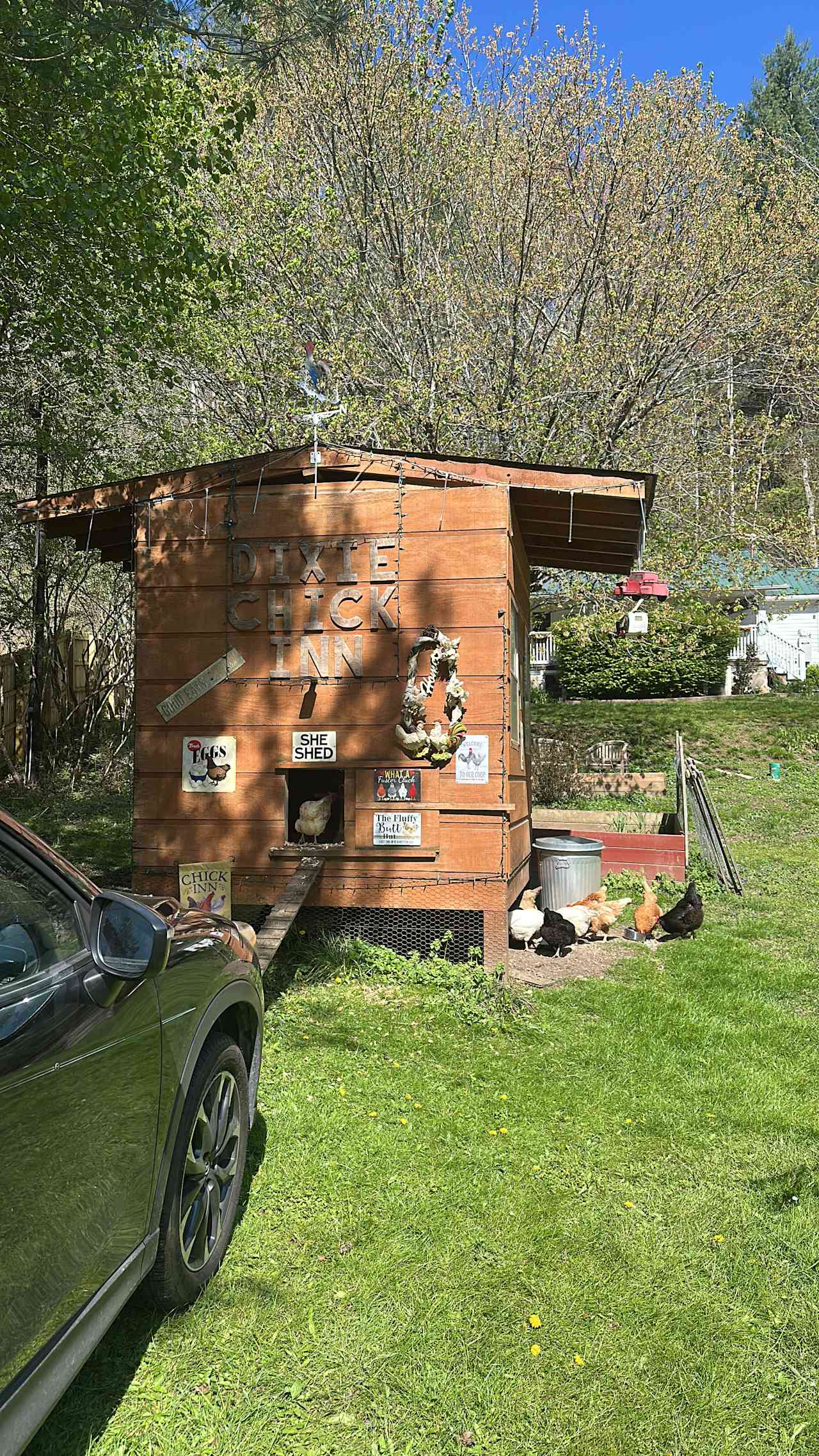 Conleys Creek Campground