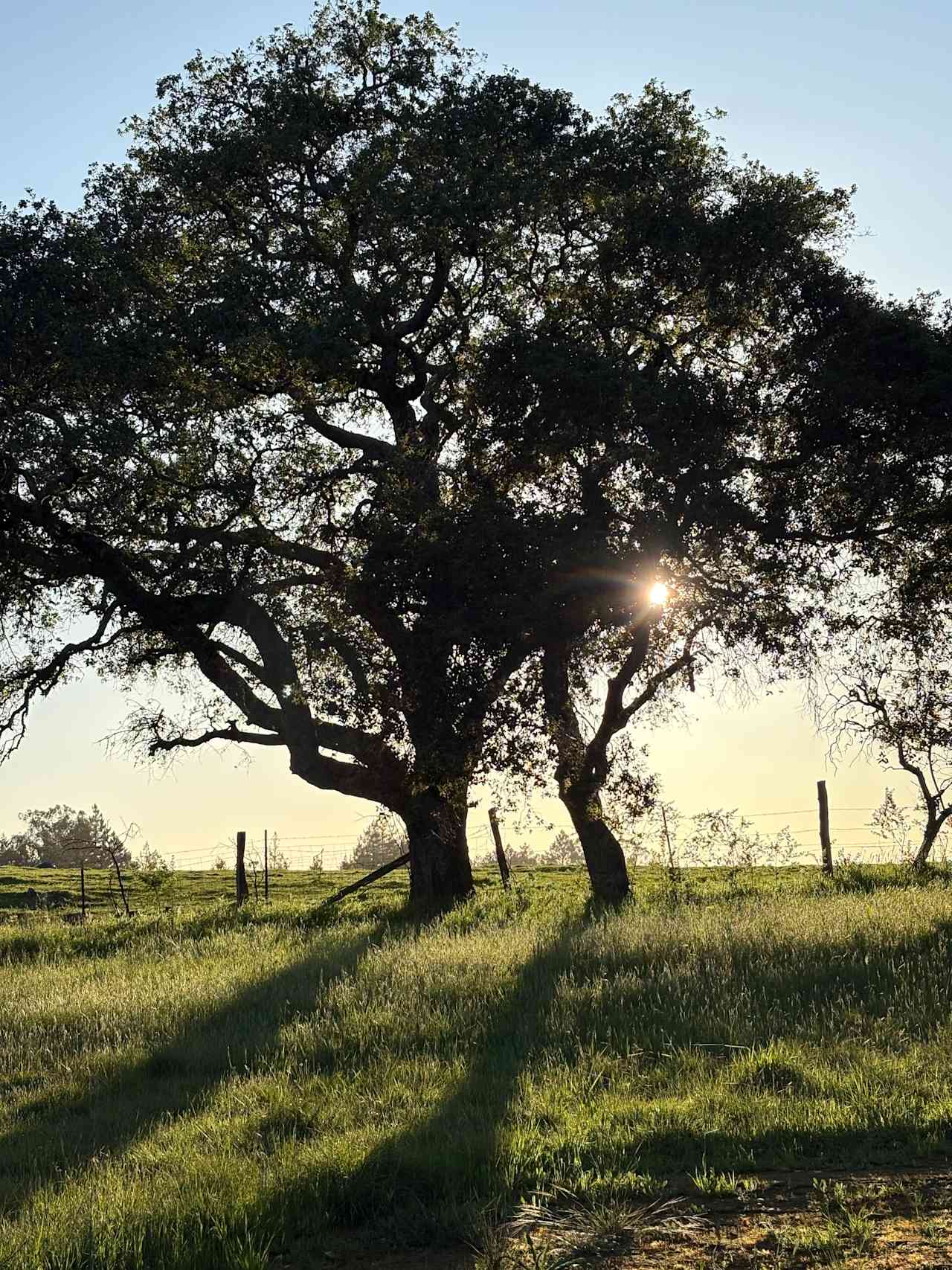 Rancho Laslendini