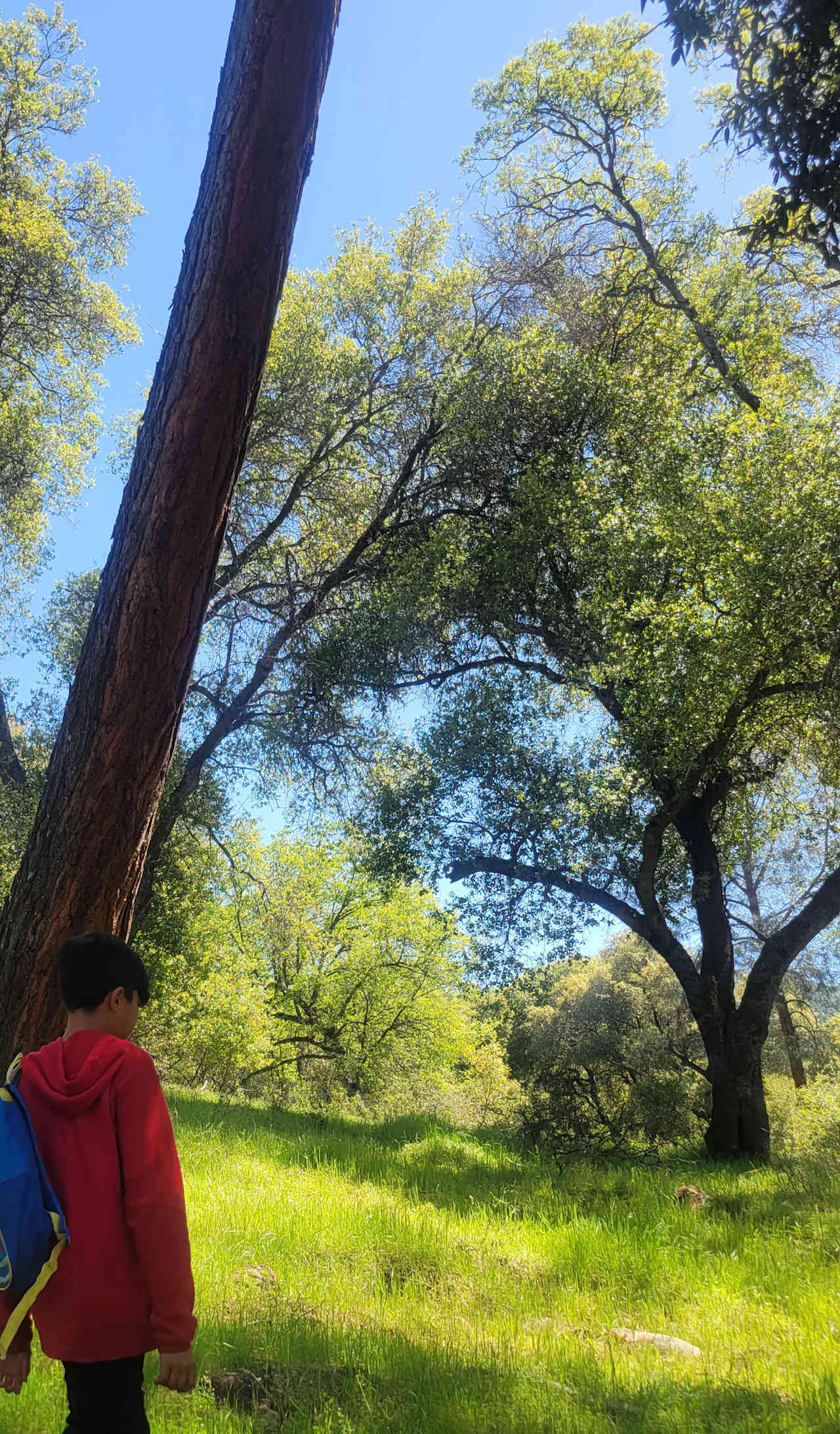 Heart valley ranch
