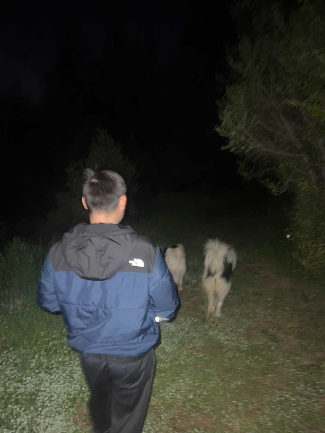Sunny’s dogs helped us find the bathroom and kept a lookout at night for us!
