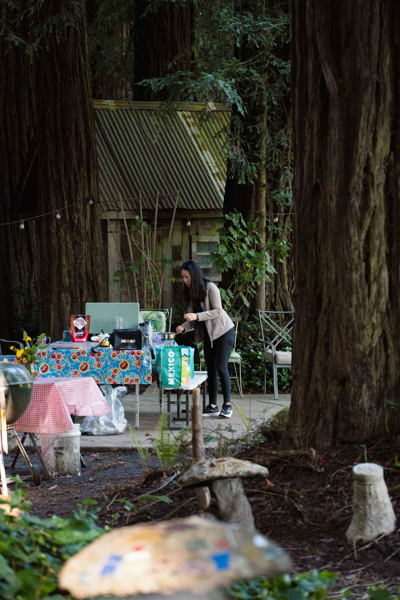 main kitchen/picnic area