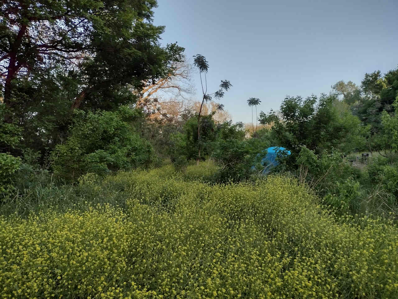 P² Farm | Scenic River Camping