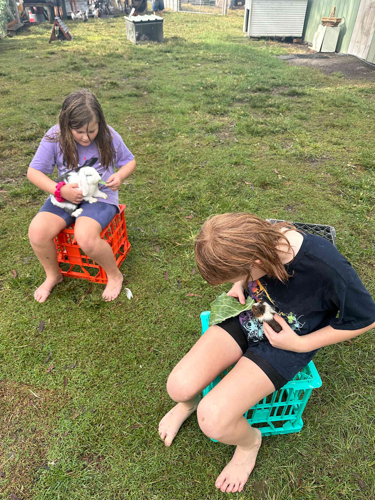 The Hatch Farm - Port Macquarie