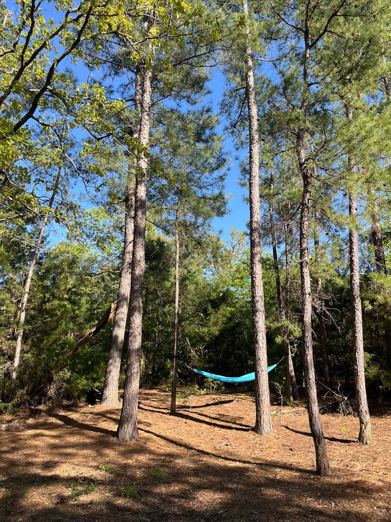The Retreat @ Borah Farm