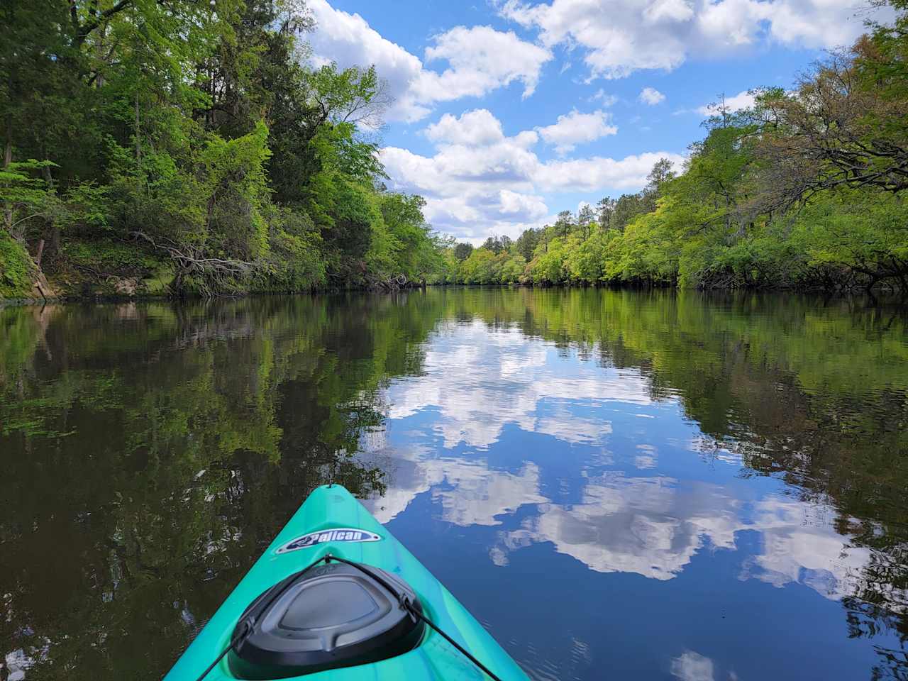 Edisto River Luxury RV Resort