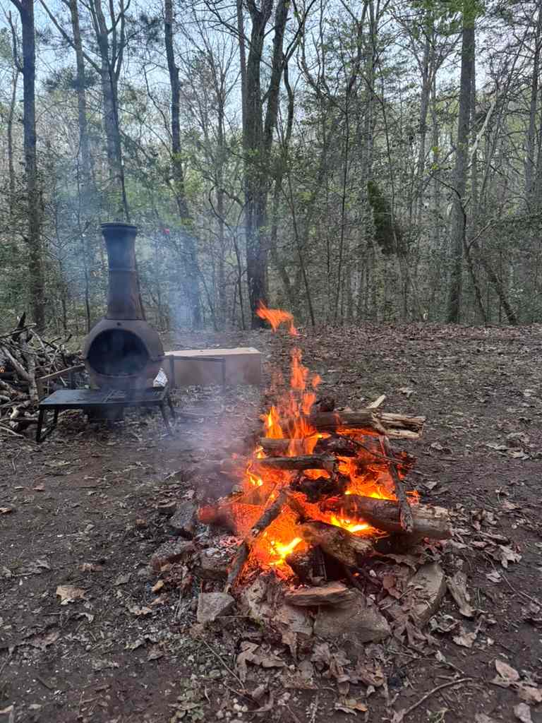 Wooded Camping at Pond