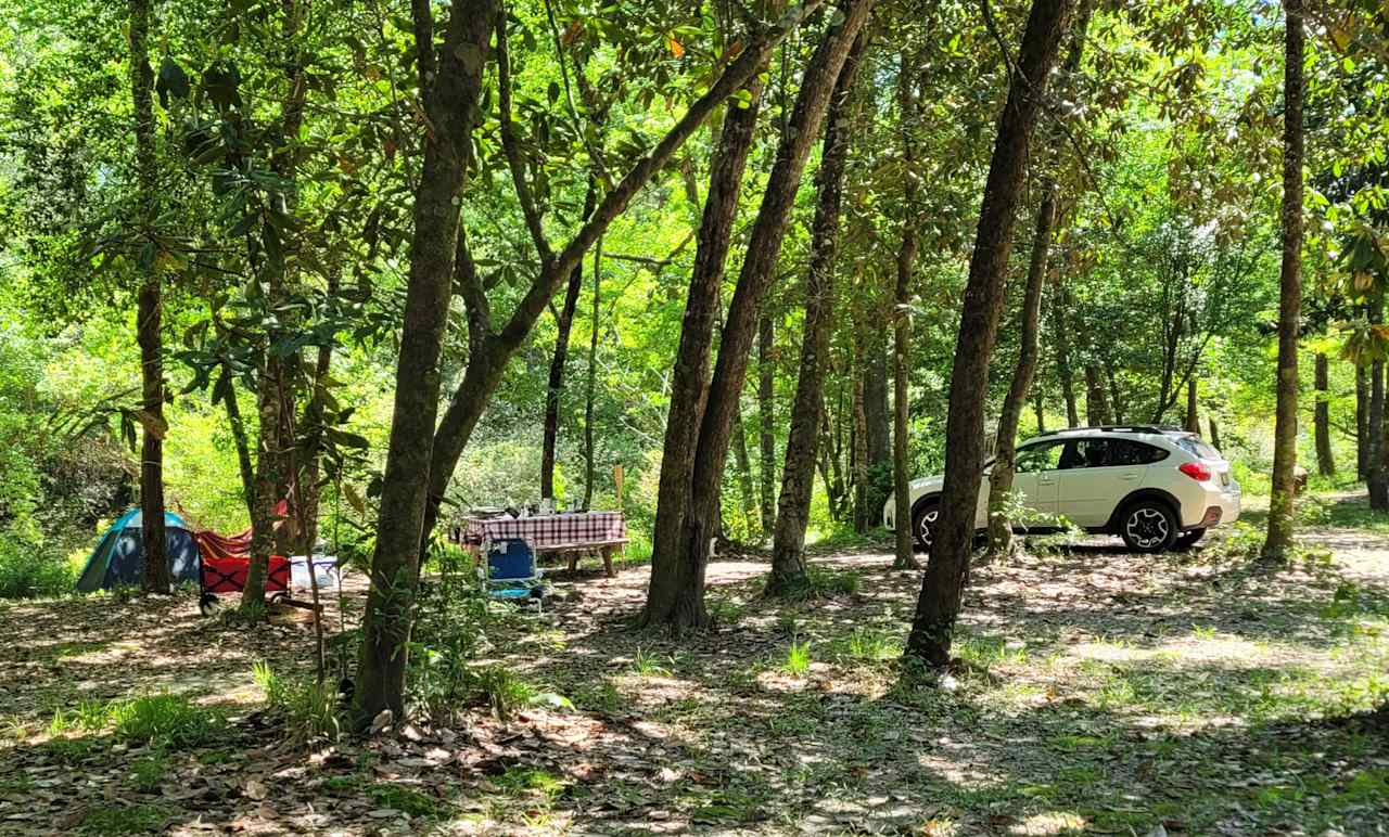 Creekside Farm Co.