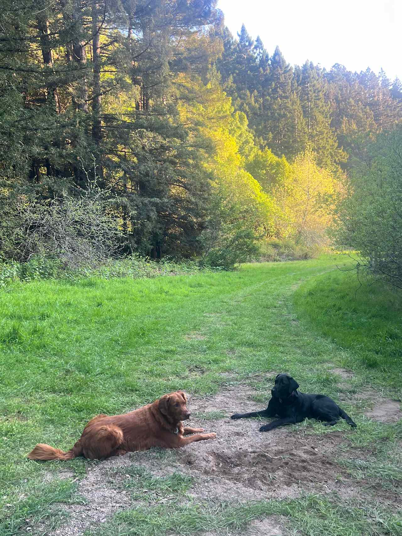 Salmon Creek Ranch