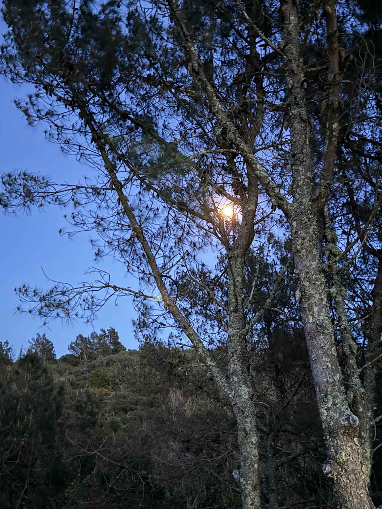 Mt Rancho (FKA La Montaña Ranch)