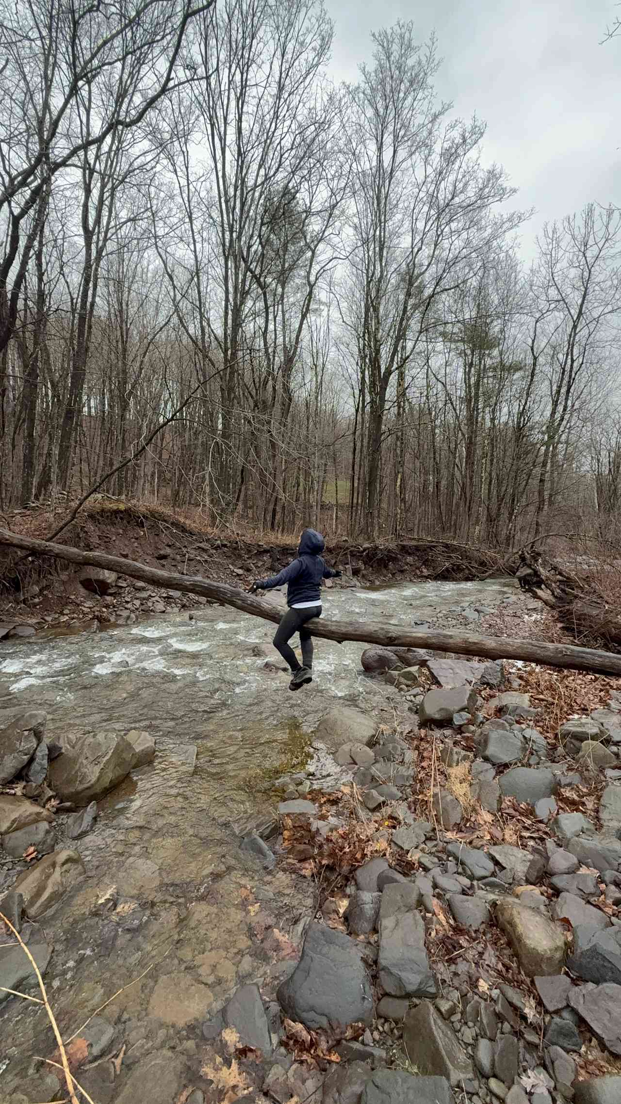 Bubbaridge