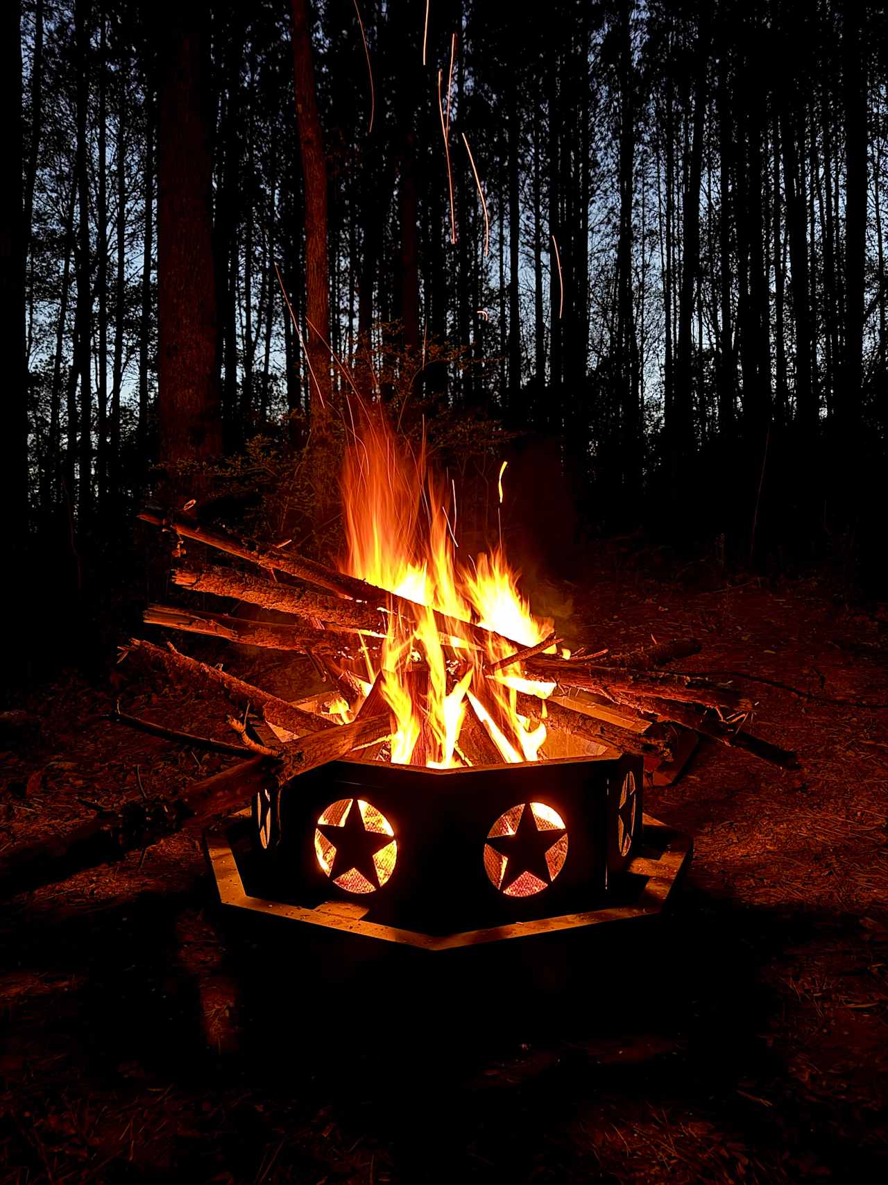 Camping in the woods in Ocoee